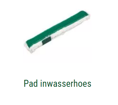 Inwashoes